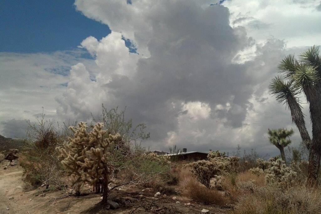 Steph'S Panorama Paradise-Nat'L Park Minutes Away Joshua Tree Exterior photo