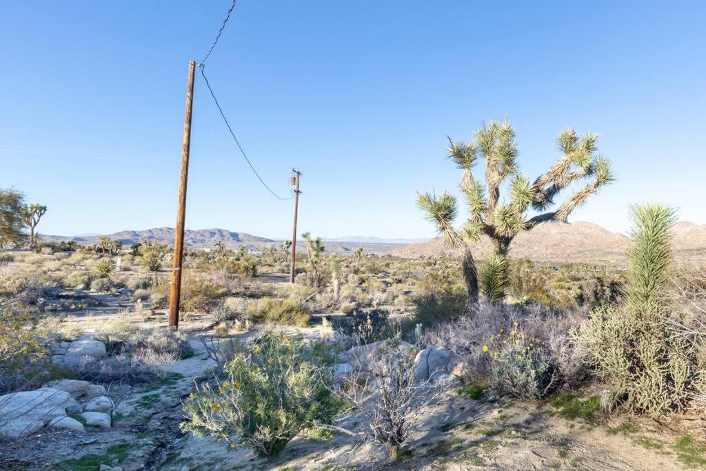 Steph'S Panorama Paradise-Nat'L Park Minutes Away Joshua Tree Exterior photo