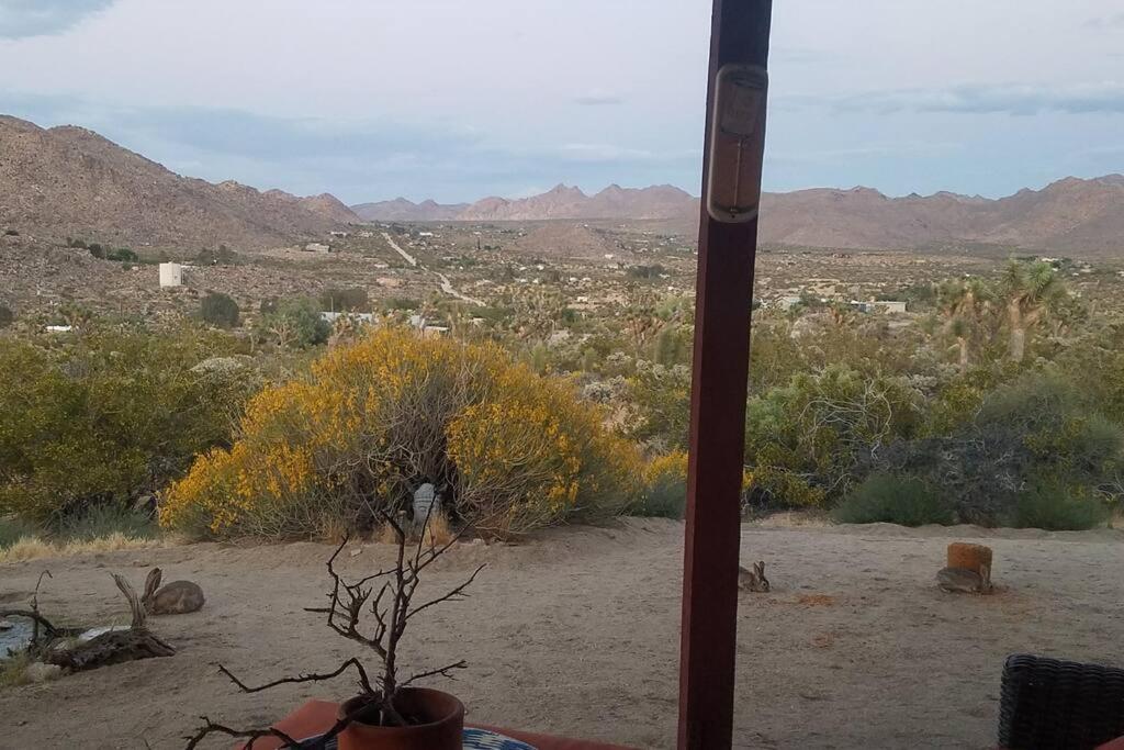 Steph'S Panorama Paradise-Nat'L Park Minutes Away Joshua Tree Exterior photo
