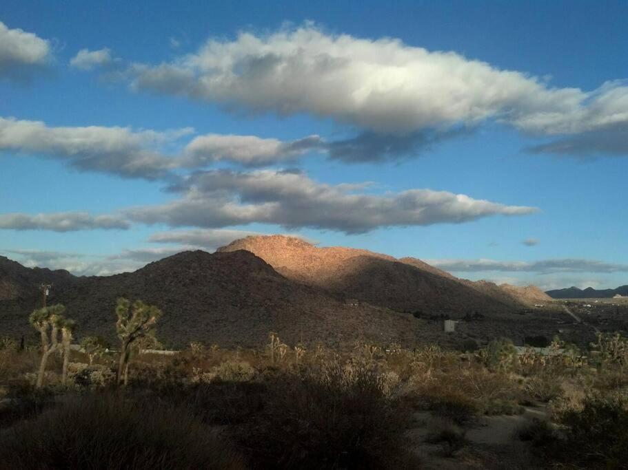 Steph'S Panorama Paradise-Nat'L Park Minutes Away Joshua Tree Exterior photo