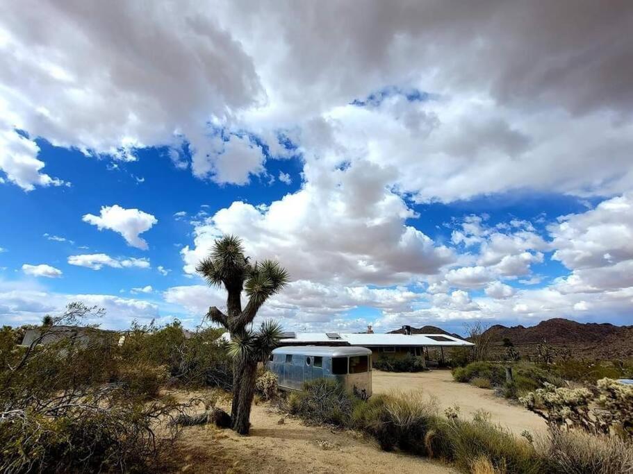 Steph'S Panorama Paradise-Nat'L Park Minutes Away Joshua Tree Exterior photo